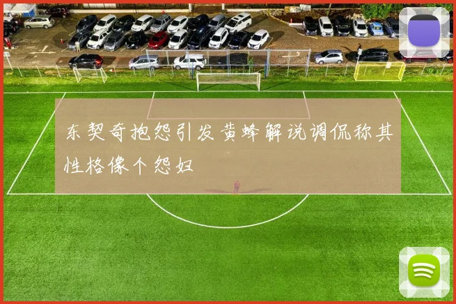 东契奇抱怨引发黄蜂解说调侃称其性格像个怨妇