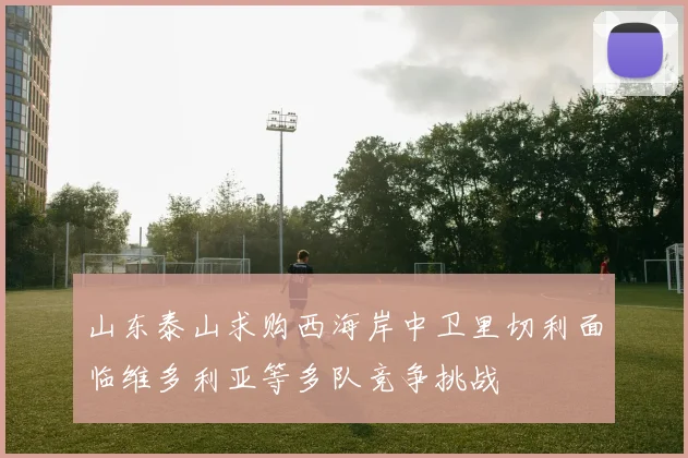 山东泰山求购西海岸中卫里切利面临维多利亚等多队竞争挑战