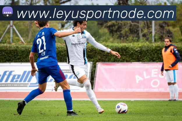 乐鱼体育APP 封面图